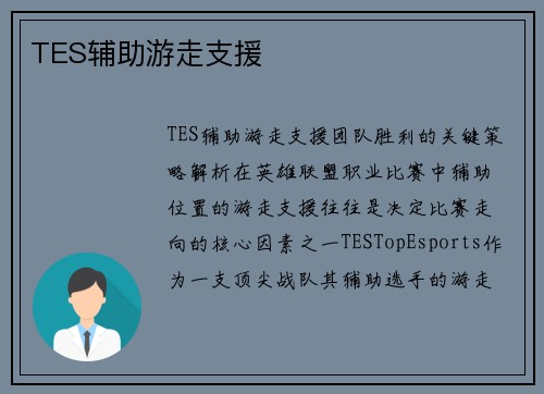 TES辅助游走支援