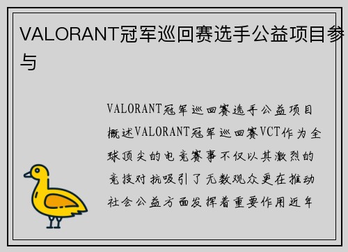 VALORANT冠军巡回赛选手公益项目参与